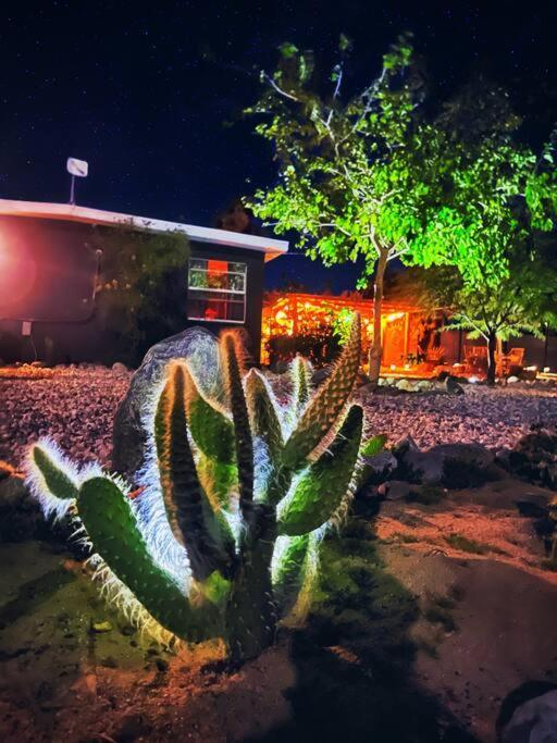 The Desert Shire Stargazing,Cold Plung & Largespa Yucca Valley Exterior photo