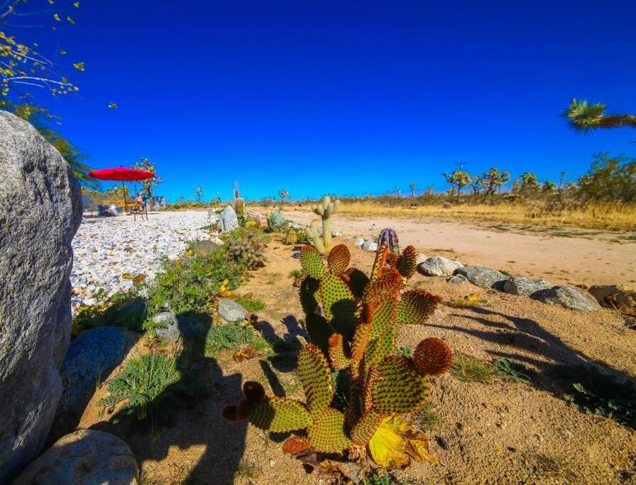 The Desert Shire Stargazing,Cold Plung & Largespa Yucca Valley Exterior photo